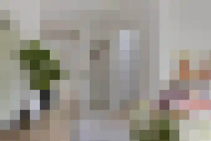 Hertogenhof 8 Goes thumbnail 12