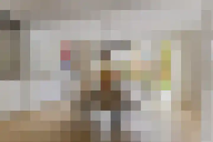 Hertogenhof 8 Goes thumbnail 15