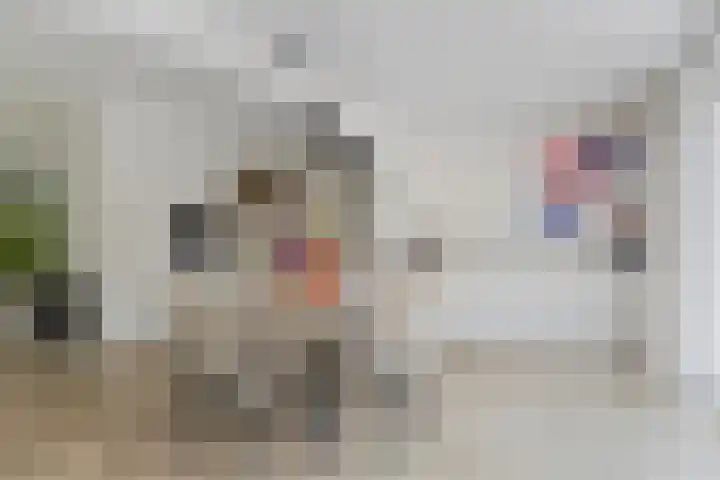 Hertogenhof 8 Goes thumbnail 16