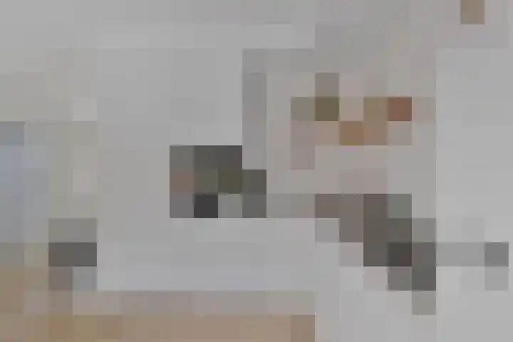 Hertogenhof 8 Goes thumbnail 18