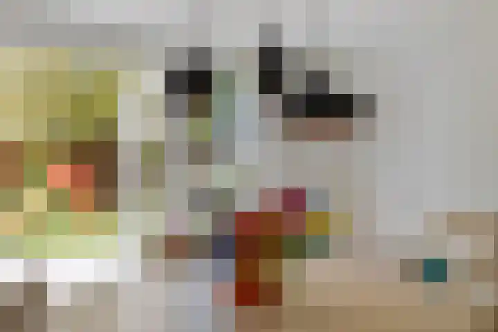 Hertogenhof 8 Goes thumbnail 21