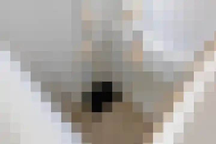 Hertogenhof 8 Goes thumbnail 26