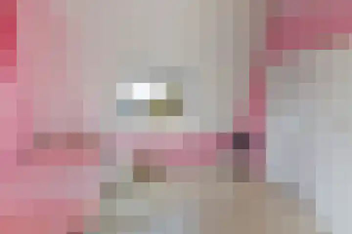 Hertogenhof 8 Goes thumbnail 41