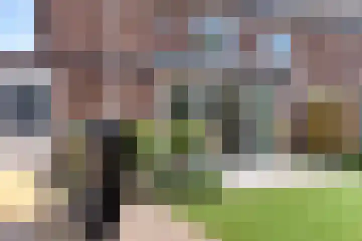 Hertogenhof 8 Goes thumbnail 47