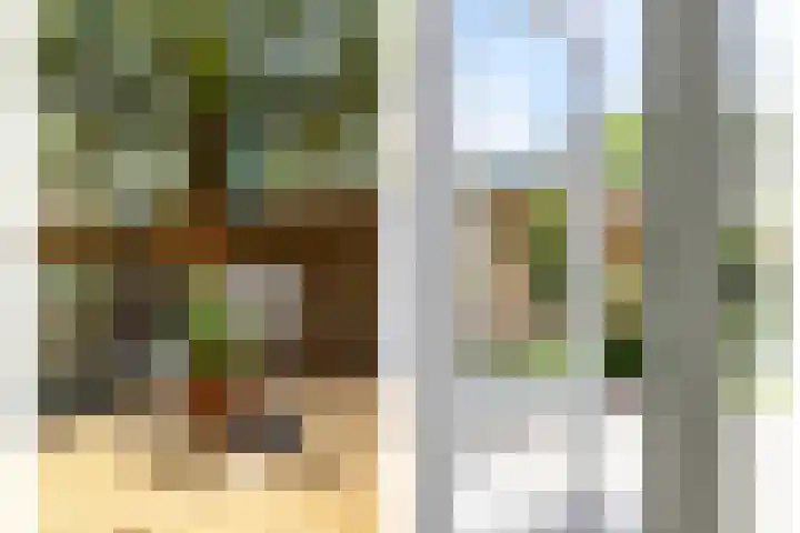Hertogenhof 8 Goes thumbnail 51