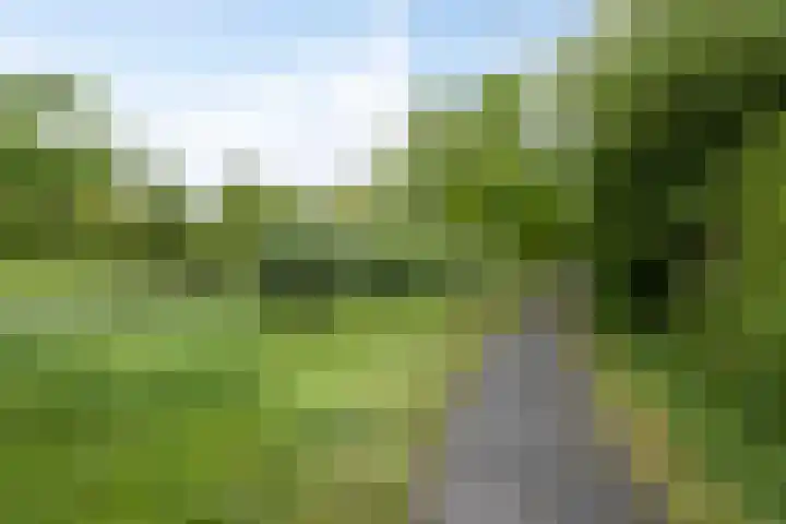 Hertogenhof 8 Goes thumbnail 52