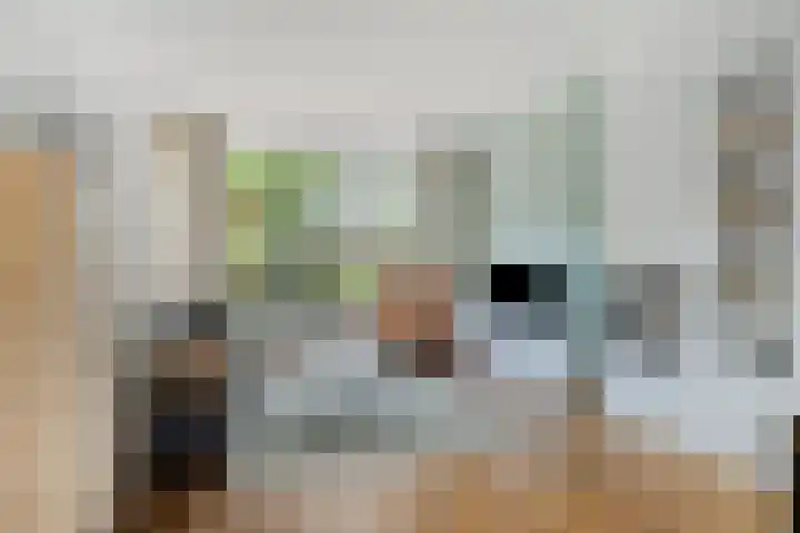 Hertogenlaan 62 Geldrop thumbnail 11