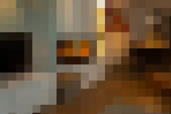 Hertogenlaan 62 Geldrop thumbnail 14