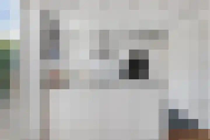 Hertogenlaan 62 Geldrop thumbnail 18