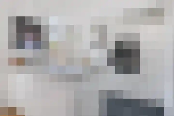 Hertogenlaan 62 Geldrop thumbnail 19