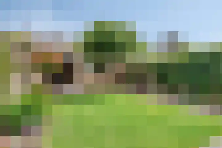 Hertogenlaan 62 Geldrop thumbnail 36