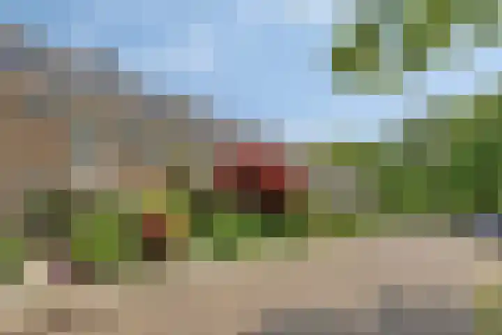 Hertogenlaan 62 Geldrop thumbnail 40