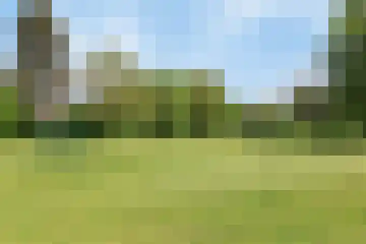 Hertogenlaan 62 Geldrop thumbnail 42
