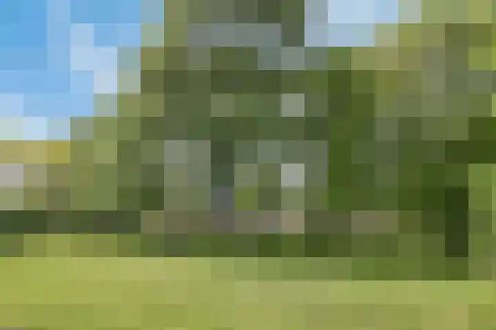 Hertogenlaan 62 Geldrop thumbnail 6