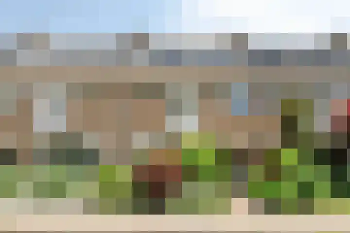 Hertogenlaan 62 Geldrop thumbnail 7