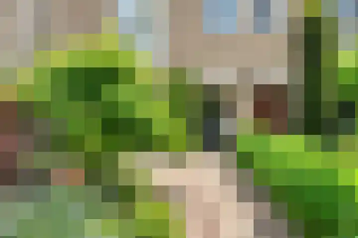 Hertogenlaan 62 Geldrop thumbnail 8