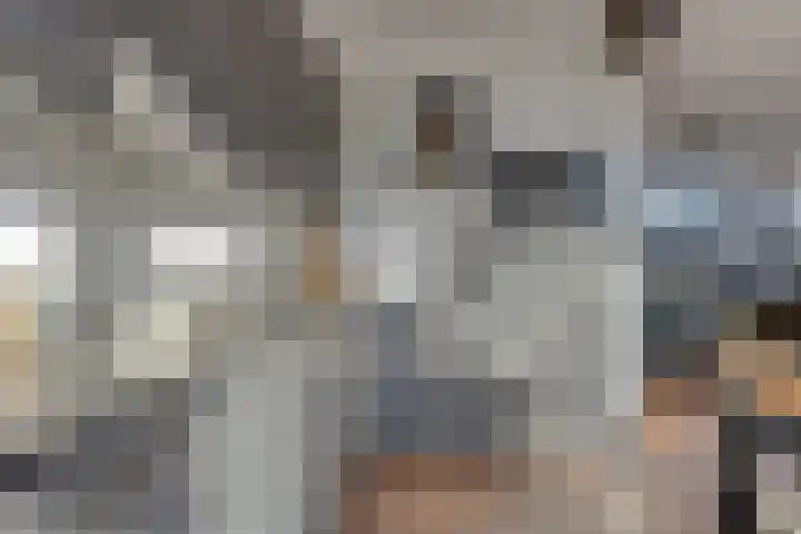 Hertogenstraat 12 Rijen thumbnail 10