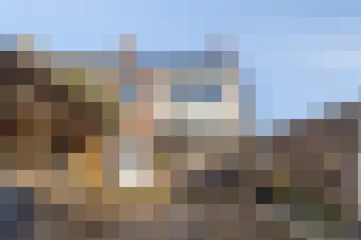 Hertogenstraat 12 Rijen thumbnail 29