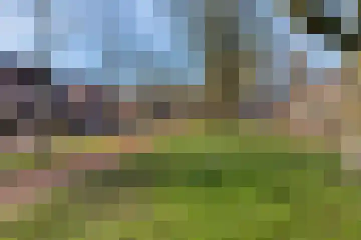 Hertogenstraat 12 Rijen thumbnail 36