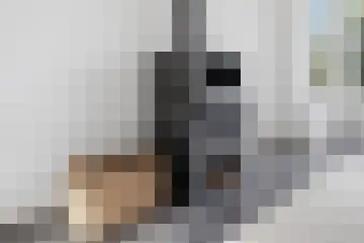 Hertogenven 40 Heemskerk thumbnail 6