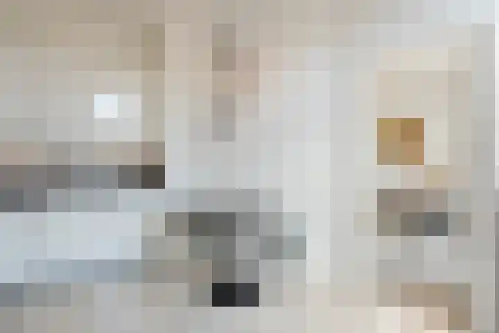 Hertogstraat 11 Velp thumbnail 12
