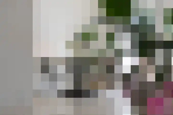 Hertogstraat 11 Velp thumbnail 9