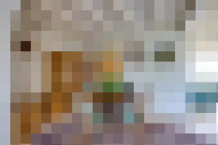 Hertogstraat 20 Sprundel thumbnail 13