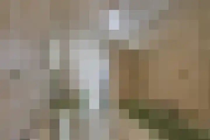 Hertogstraat 20 Sprundel thumbnail 26