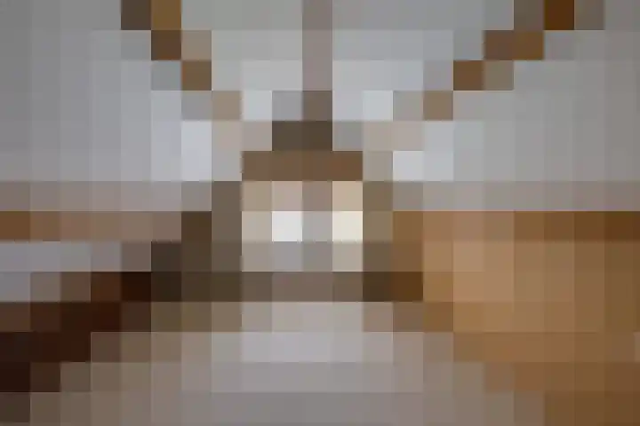 Hertogstraat 20 Sprundel thumbnail 34