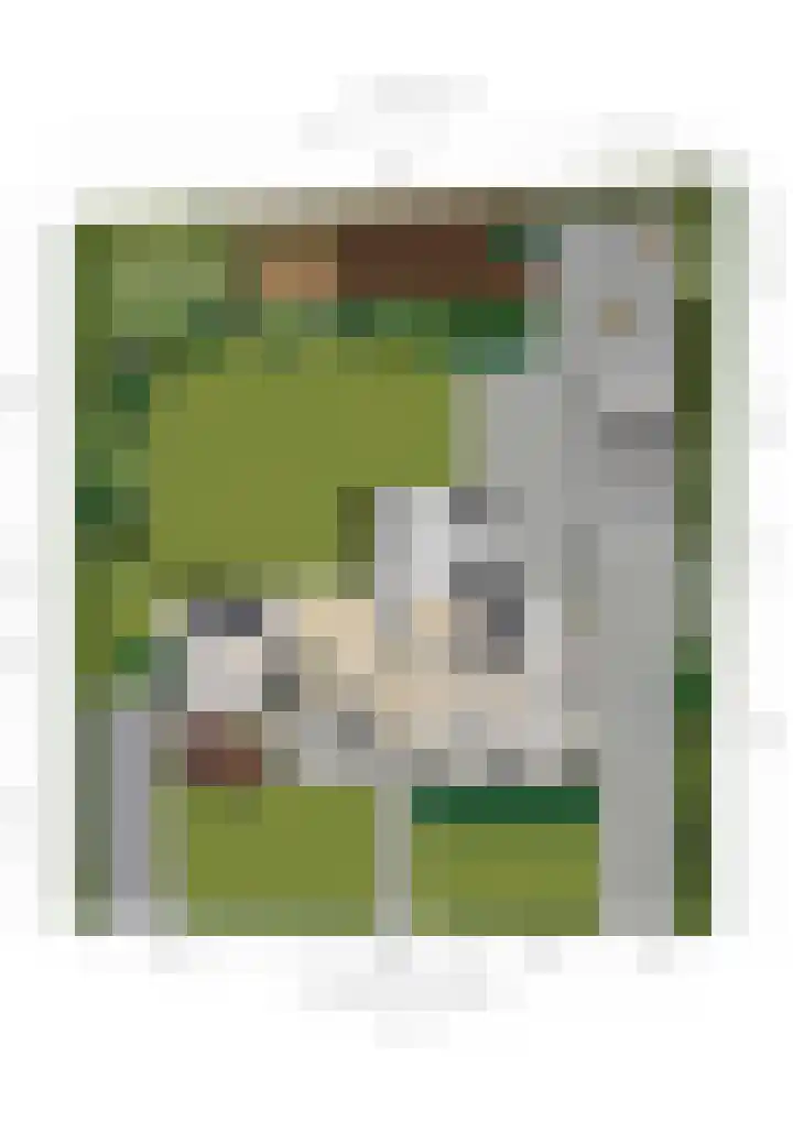 Hertogstraat 20 Sprundel thumbnail 62