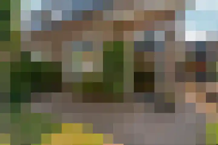 Hertogstraat 5 Velp thumbnail 10