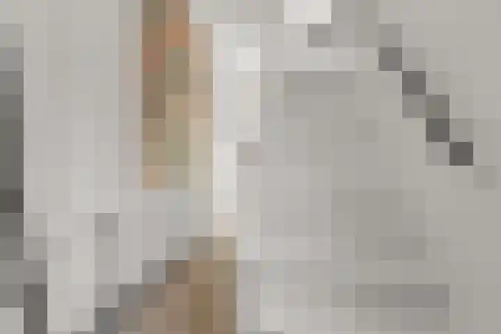 Hertogstraat 5 Velp thumbnail 11