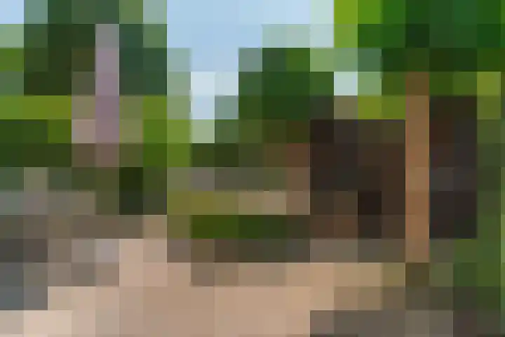 Hertogstraat 5 Velp thumbnail 4