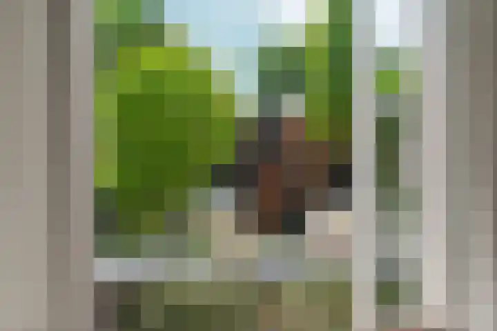 Hertogstraat 5 Velp thumbnail 40