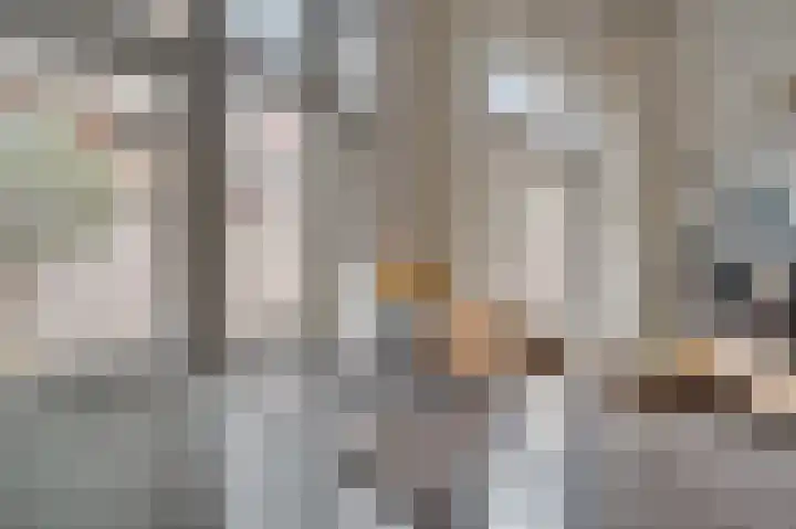 Herungerstraat 21 Venlo thumbnail 17