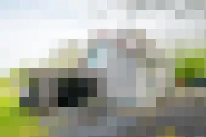 Herwensedijk 60 Herwen thumbnail 44