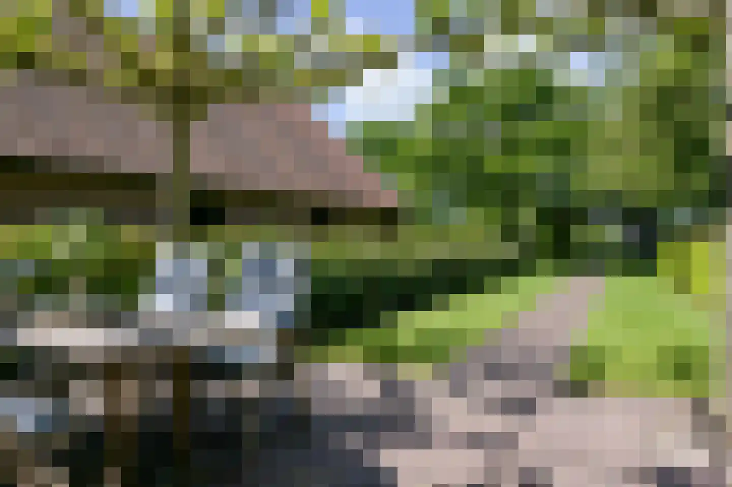 Herweystate 4 Leeuwarden thumbnail 20