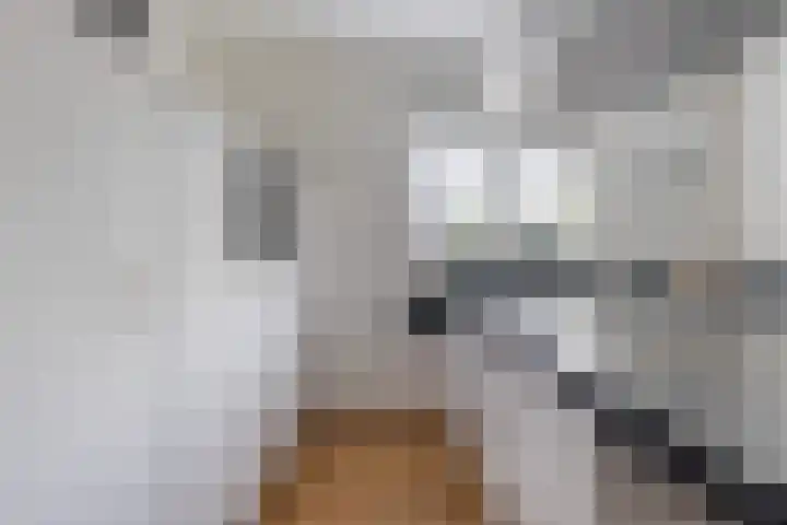 Herweystate 4 Leeuwarden thumbnail 23