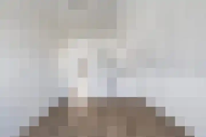 Herweystate 4 Leeuwarden thumbnail 35