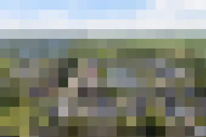 Herweystate 4 Leeuwarden thumbnail 58