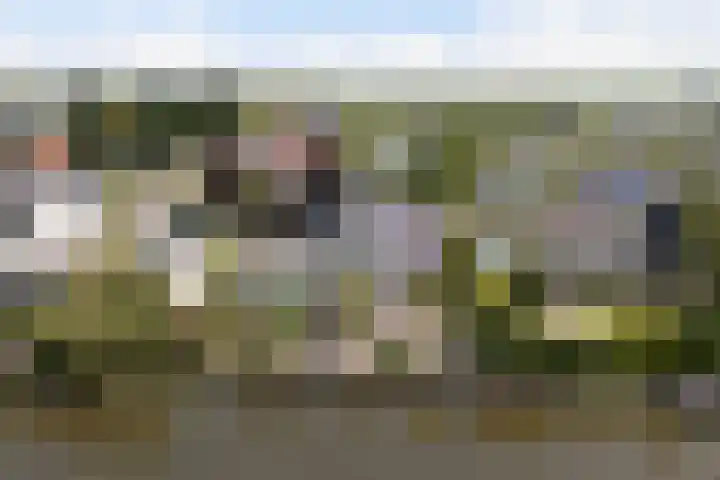 Herweystate 4 Leeuwarden thumbnail 67