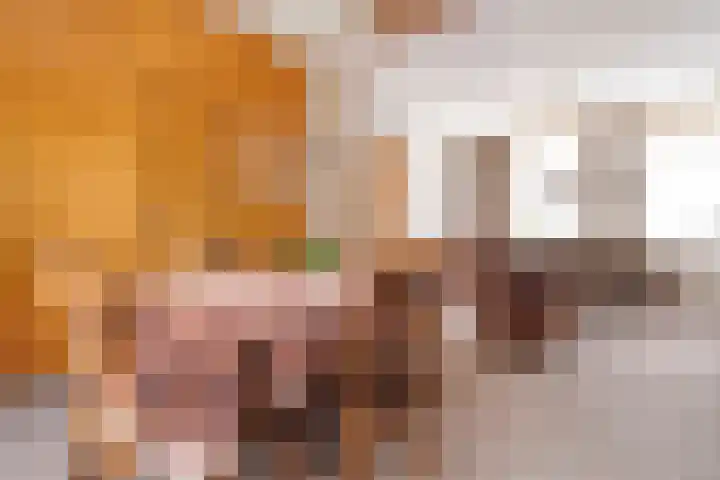 Herxen 19 Wijhe thumbnail 23