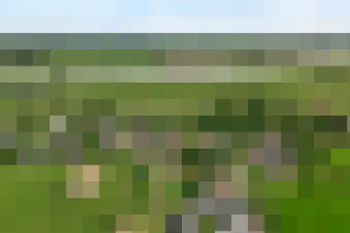 Herxen 19 Wijhe thumbnail 4