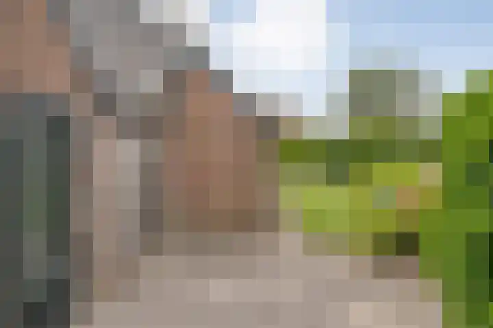Herxen 19 Wijhe thumbnail 44