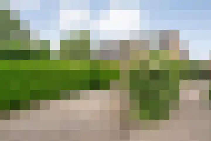 Herxen 19 Wijhe thumbnail 6