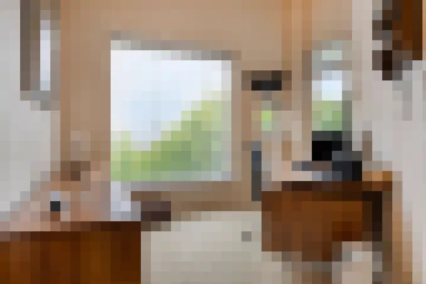 Heschepad 12 A Oss thumbnail 25