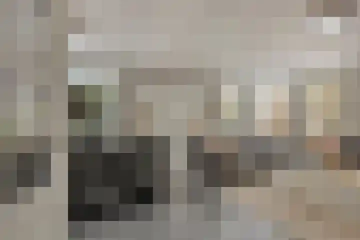 Hescheweg 95 Oss thumbnail 11