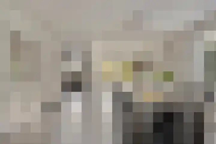 Hescheweg 95 Oss thumbnail 16