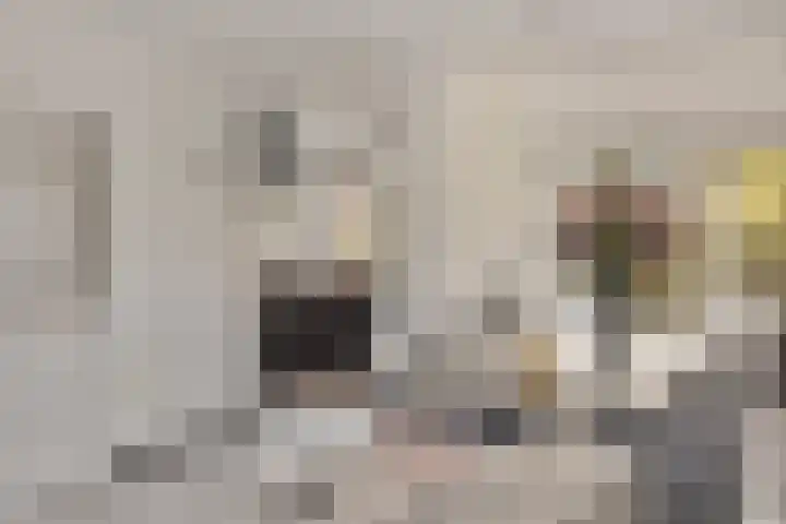 Hescheweg 95 Oss thumbnail 17