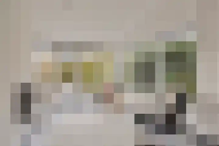 Hescheweg 95 Oss thumbnail 18
